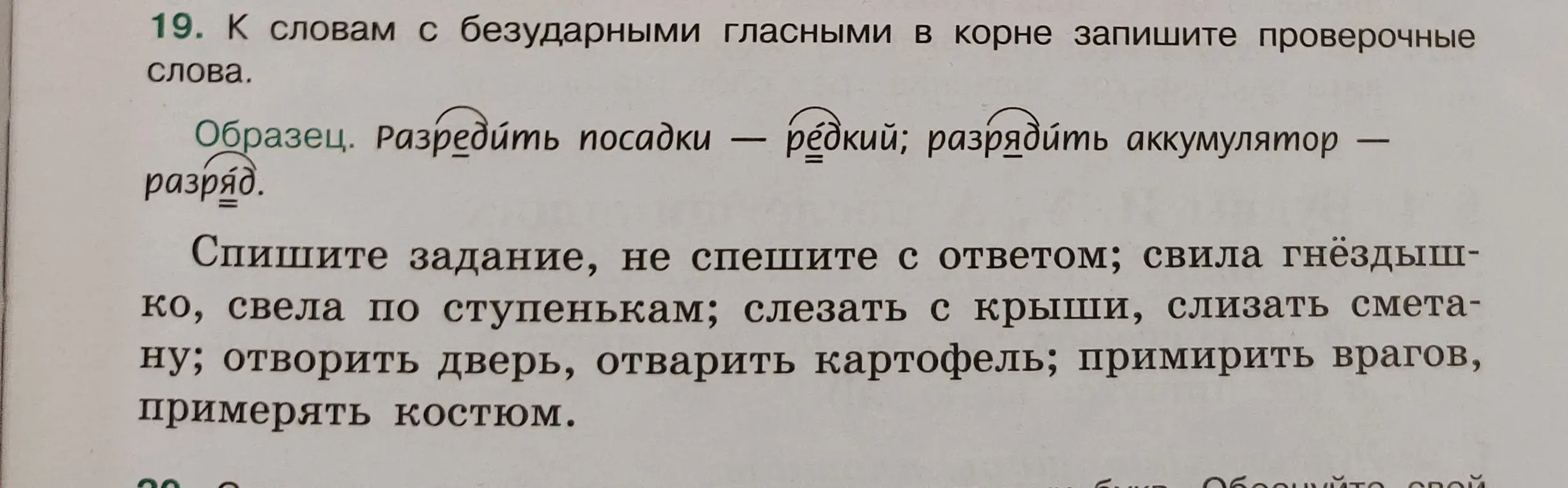 Подбери проверочные слова к словам с безударными гласными в корне: свила гнёздышко.