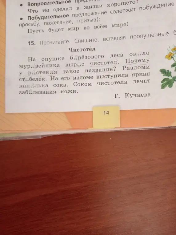 Прочитай, спиши, вставляя пропущенные буквы в тексте про чистотел