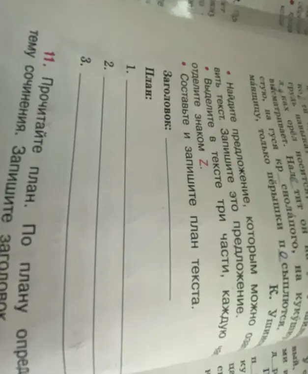 Помоги составить план текста и озаглавить текст про охоту орла