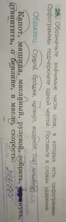 Ты просишь обозначить значимые части слов, в которых есть орфограммы, подчеркнуть орфограммы одной чертой и поставить ударения в словах.