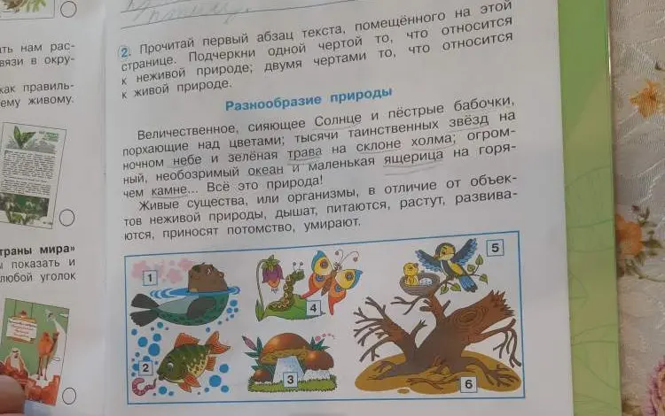 Прочитай первый абзац текста и подчеркни одной чертой то, что относится к неживой природе, а двумя чертами то, что относится к живой природе.
