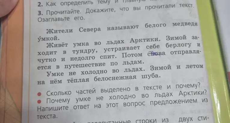Ответь на вопросы по тексту про умку: сколько частей выделено в тексте и почему? Почему умке не холодно во льдах Арктики? Напишите ответ на этот вопрос предложением из текста.