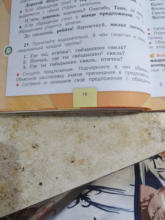 Объясни сходство и различие в предложениях каждой группы: 1. Где ты, птичка¹, гнёздышко свила?