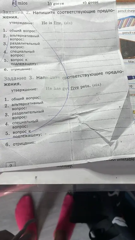 Ты просишь написать различные типы предложений с использованием фраз "He is five\six" и "He has got five pets\six".