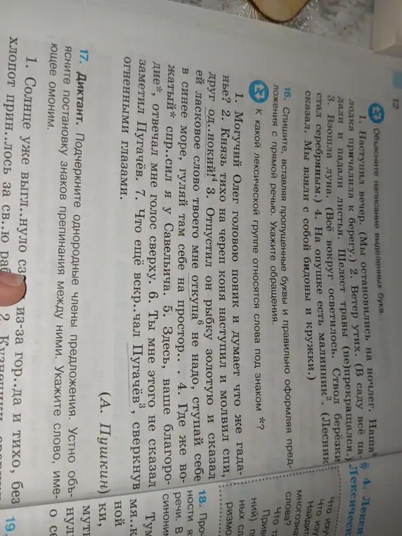 Выполни задание: Подчеркни однородные члены предложения. Устно объясните постановку знаков препинания между ними. Укажите слово, имеющее омоним.