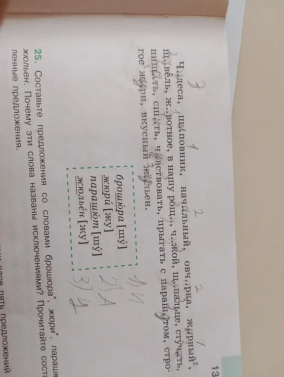 Составь предложения со словами брошюра, жюри, парашют, жюльен. Почему эти слова названы исключениями?