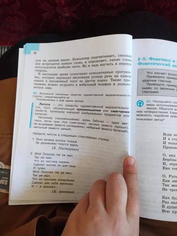 Ты просишь найти литоты в следующих стихотворных строках: