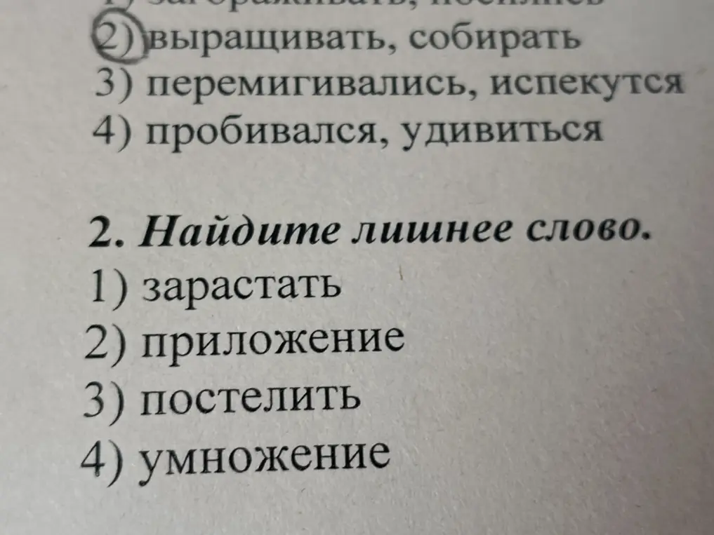 Ты просишь меня найти лишнее слово из списка: зарастать, приложение, постелить, умножение.