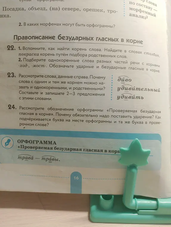 Объясни, почему слова с одним и тем же корнем можно назвать и однокоренными, и родственными. Рассмотри обозначение орфограммы «Проверяемая безударная гласная в корне»