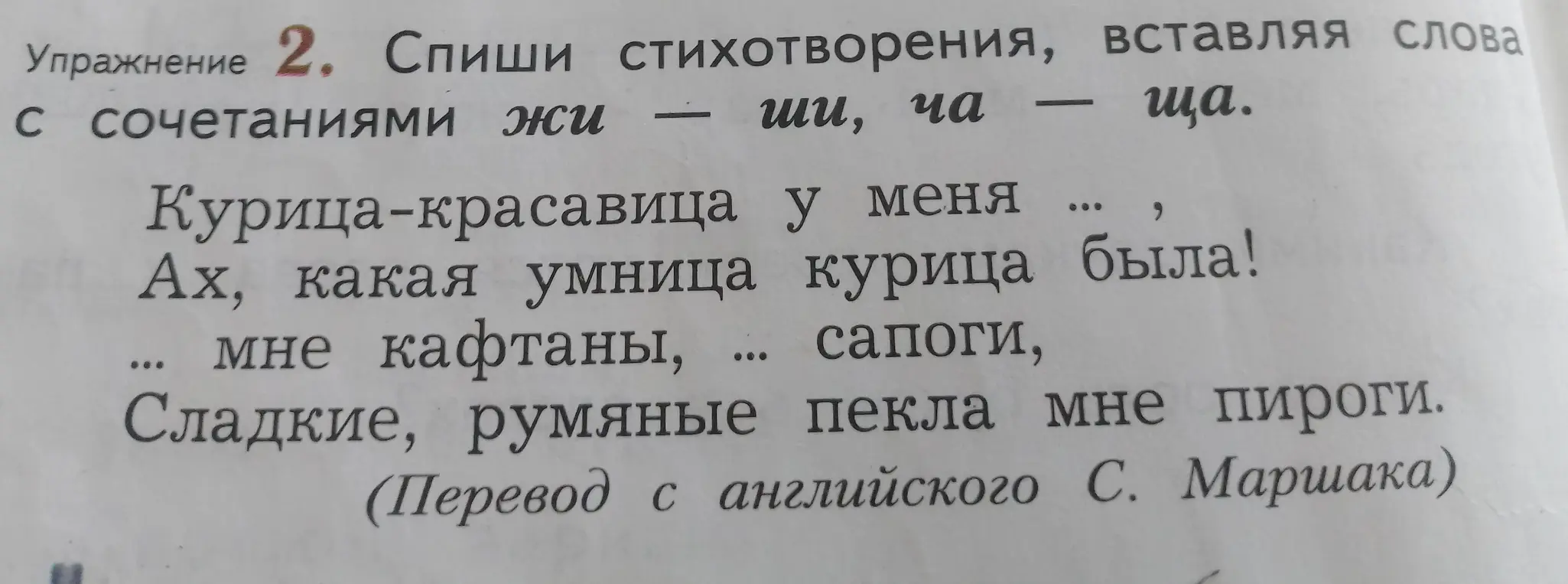Вставь слова с сочетаниями жи — ши, ча — ща в стихотворение.