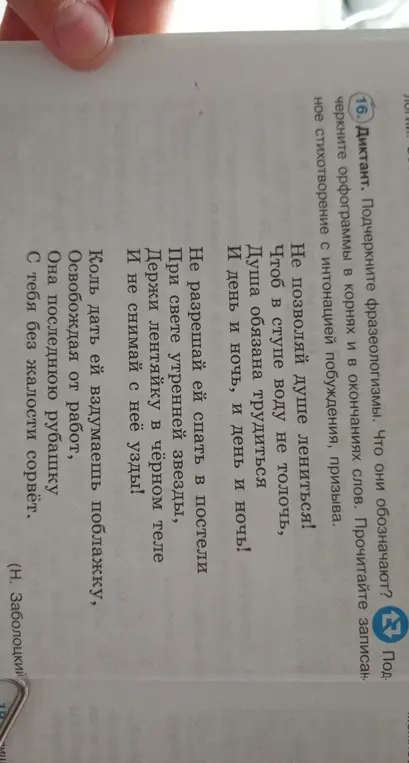 Подчеркни фразеологизмы и орфограммы в стихотворении.