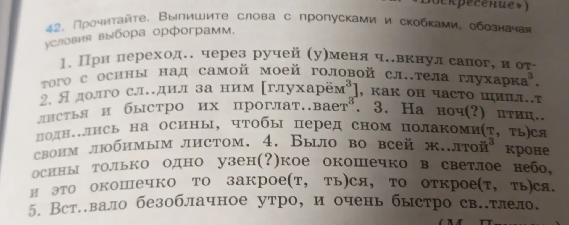 Выпиши слова с пропусками и скобками, обозначая условия выбора орфограмм в тексте