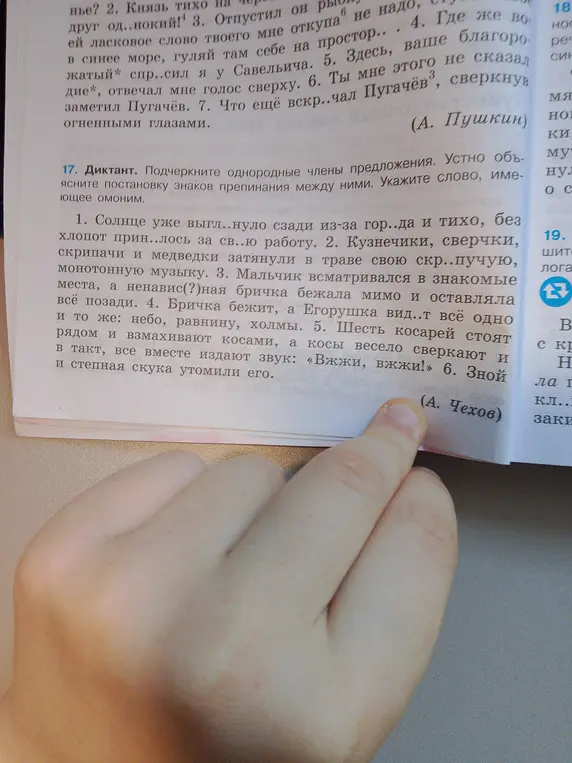 Помоги мне подчеркнуть однородные члены предложения и указать слово, имеющее омоним в упражнении 17 под цифрой 1.