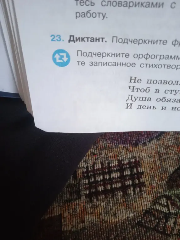 Ты просишь меня подчеркнуть орфограммы в стихотворении, записанном в тексте под номером 23