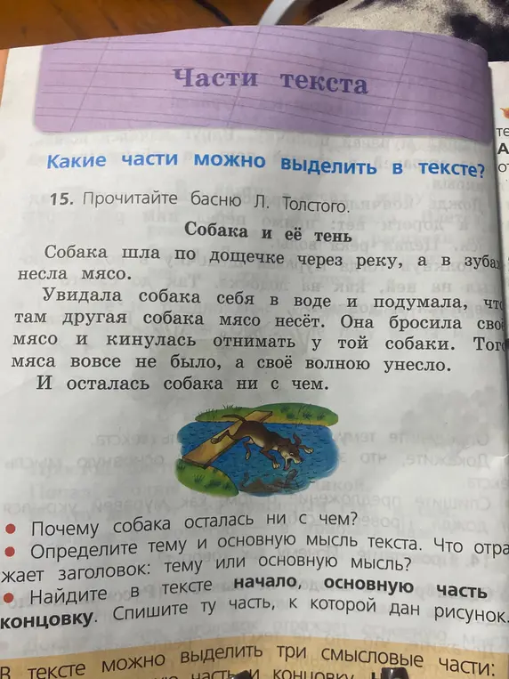 Ты можешь ответить на вопросы по басне "Собака и её тень" Л. Толстого: почему собака осталась ни с чем, определи тему и основную мысль текста, найди в тексте начало, основную часть и концовку?