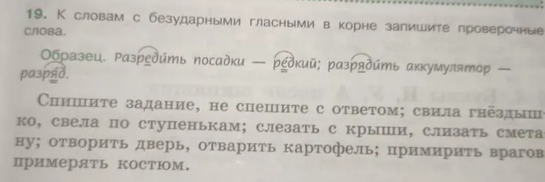 Подбери проверочные слова к словам с безударными гласными в корне: свила гнёздышко