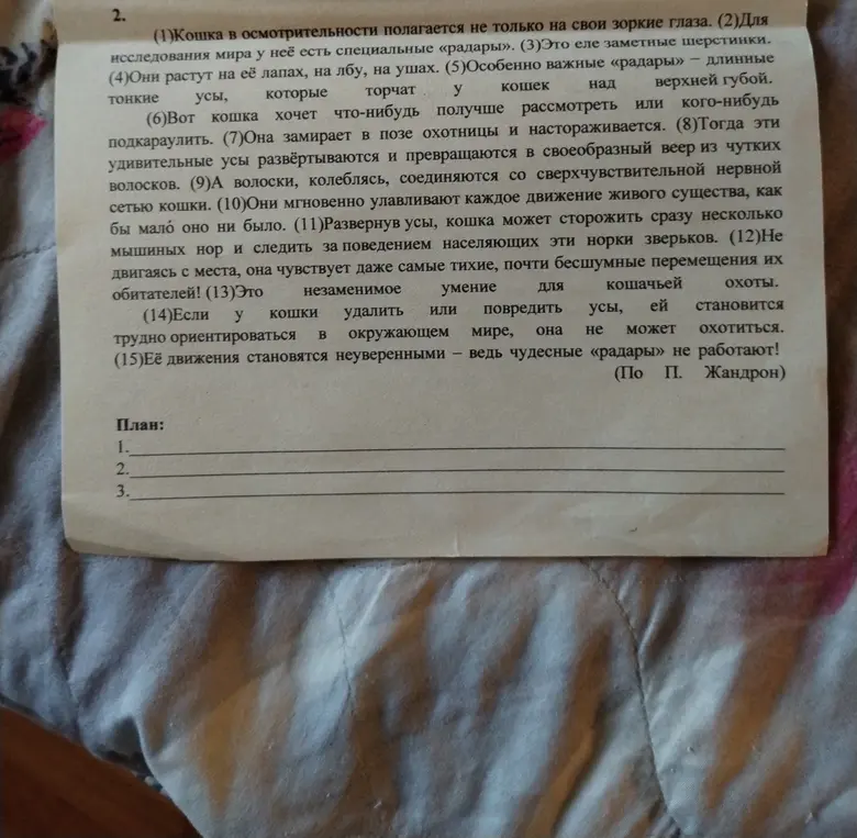 Помоги составить план к тексту про кошачьи усы