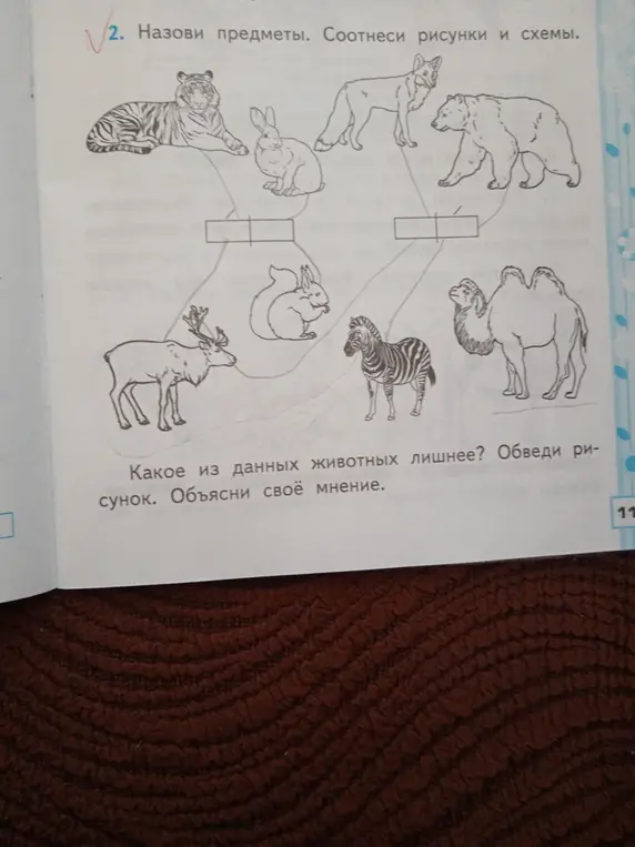 Назови предметы и соотнеси рисунки и схемы. Какое из данных животных лишнее?