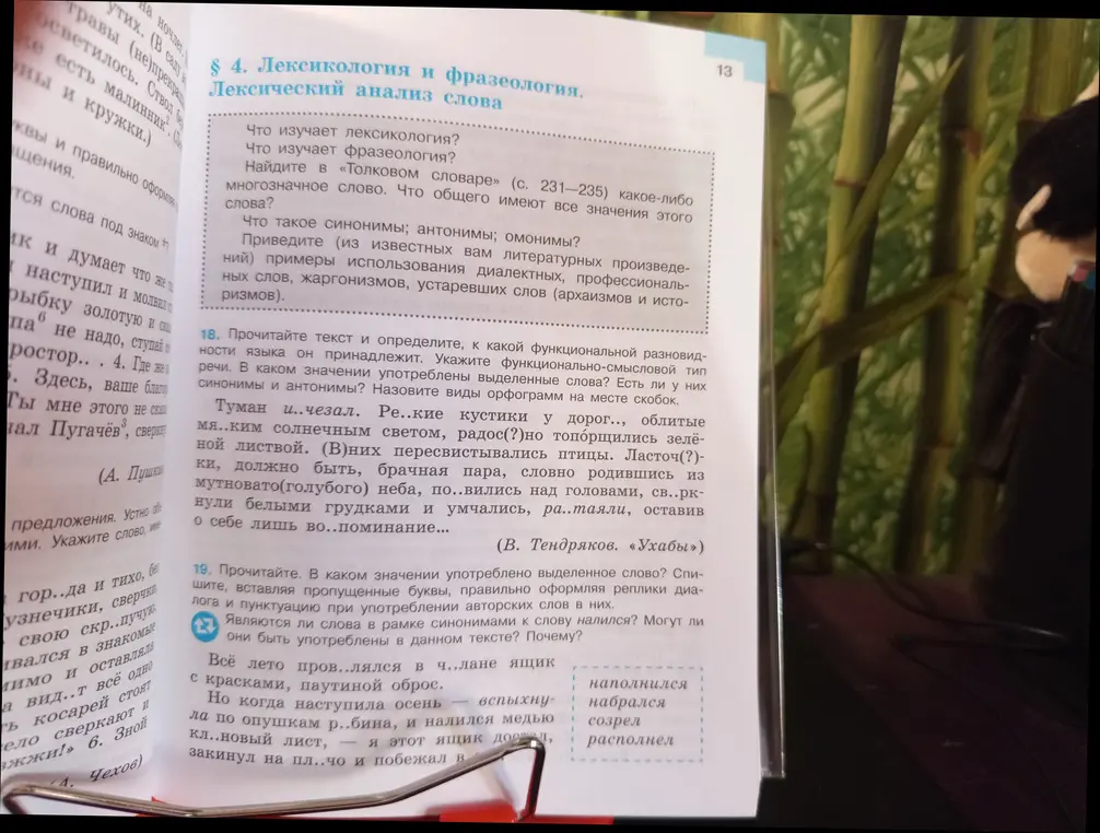 Определи функциональную разновидность языка в тексте про туман, укажи функционально-смысловой тип речи и орфограммы на месте скобок. Являются ли слова в рамке синонимами к слову налился?
