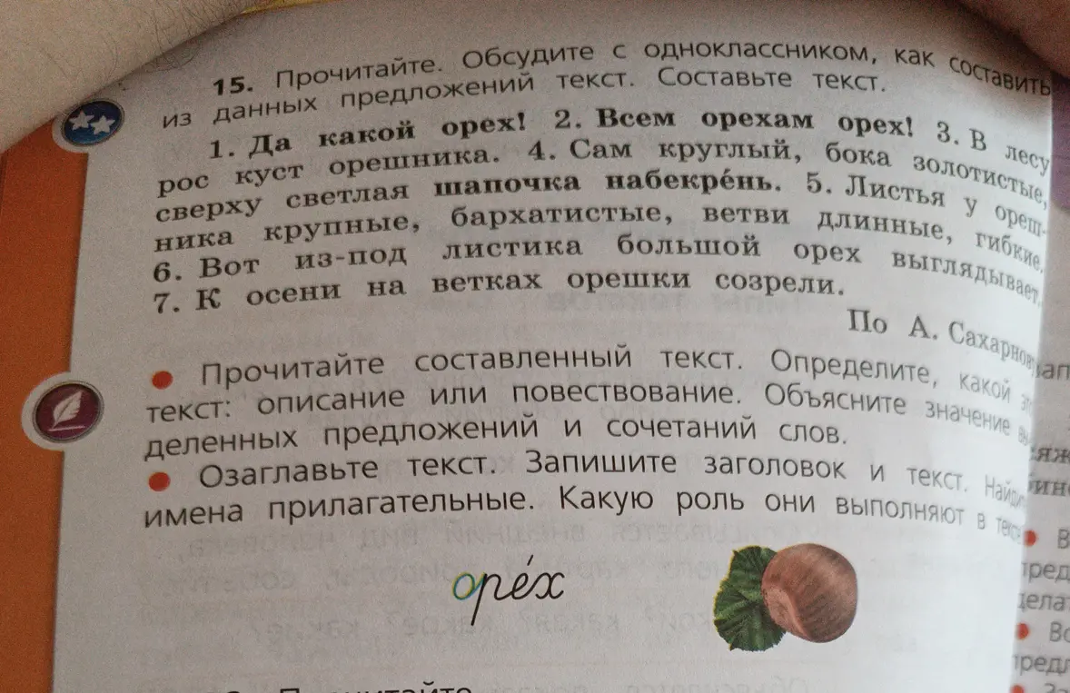 Как составить текст про орех из данных предложений?