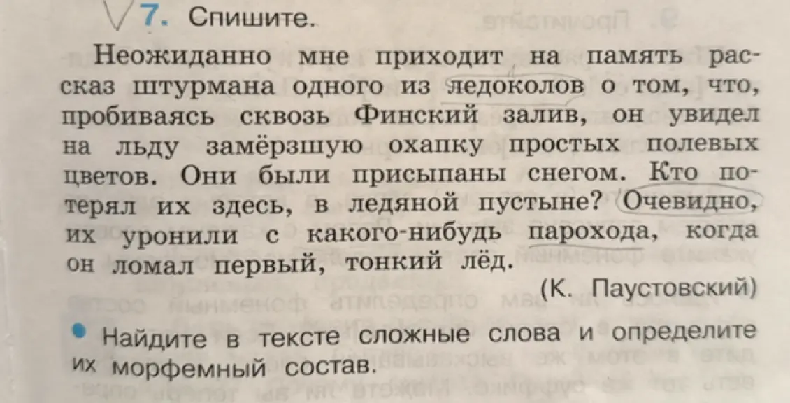 Найди в тексте сложные слова и определи их морфемный состав.
