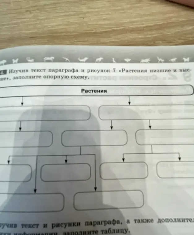 Можешь ли ты заполнить опорную схему про растения?