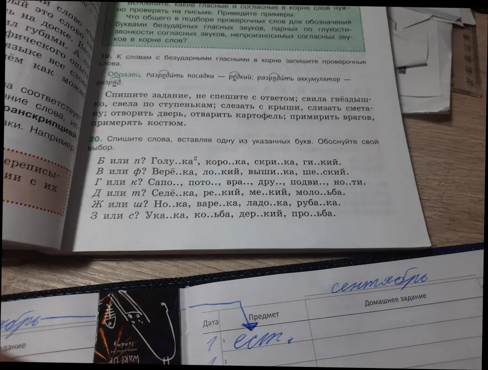 Помоги мне, пожалуйста, в 20-м упражнении: спиши слова, вставляя одну из указанных букв. Обоснуйте свой выбор. Б или п? Голу..ка², коро..ка, скри..ка, ги..кий.