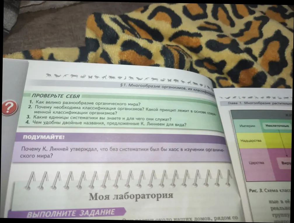 Как велико разнообразие органического мира?