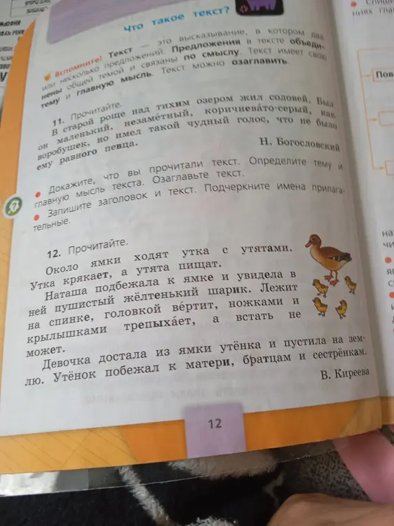 Определи тему и главную мысль текста в упражнении 11, озаглавь текст. Запиши заголовок и текст, подчеркни имена прилагательные. Выполни синтаксический разбор предложения в упражнении 12: Около ямки ходят утка с утятами