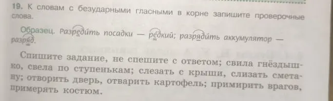Подбери проверочные слова к словам с безударными гласными в корне: свила гнёздышко, свела по ступенькам и т.д.