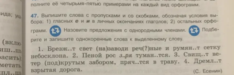 Предлагаешь выписать слова с пропусками и со скобками, обозначив условия выбора: гласных е и и в личных окончаниях глаголов.