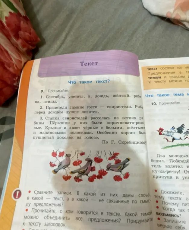 Сравни записи: в какой из них даны слова, в какой - текст, а в какой - не связанные по смыслу предложения?