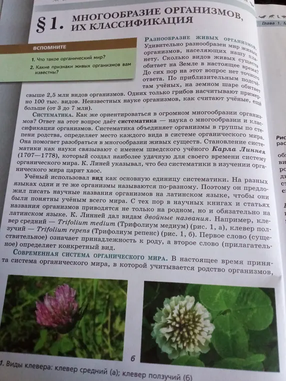 Сделай краткий пересказ пункта о многообразии организмов и их классификации