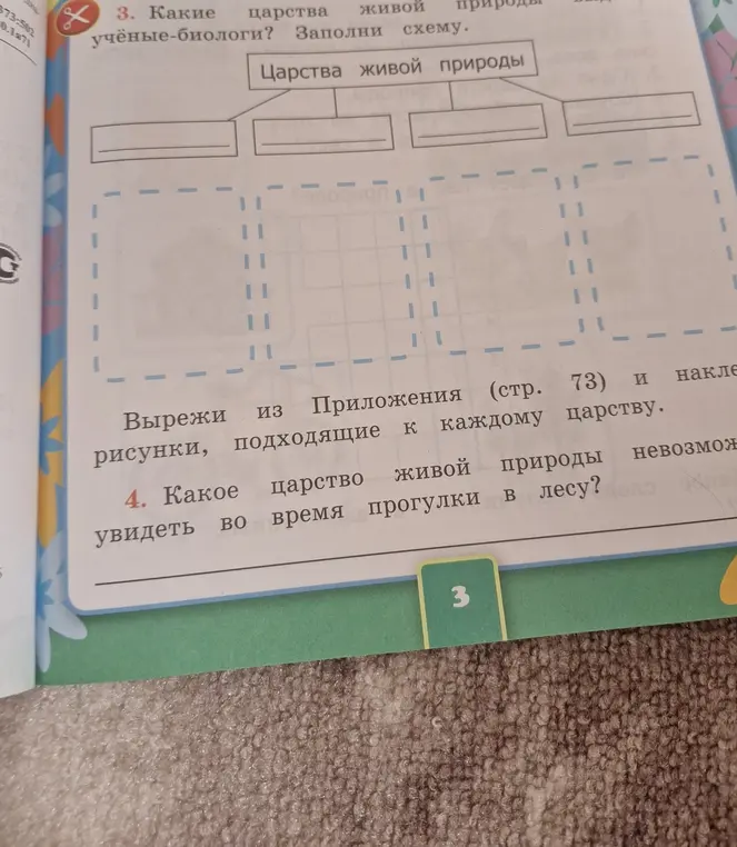 Какие царства живой природы ты знаешь? Какое царство живой природы невозможно увидеть во время прогулки в лесу?