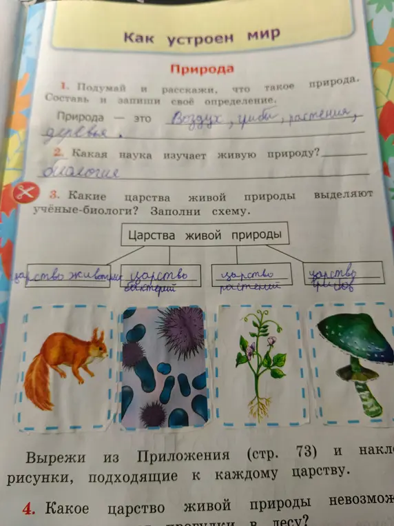 Объясни, что такое природа и какая наука её изучает