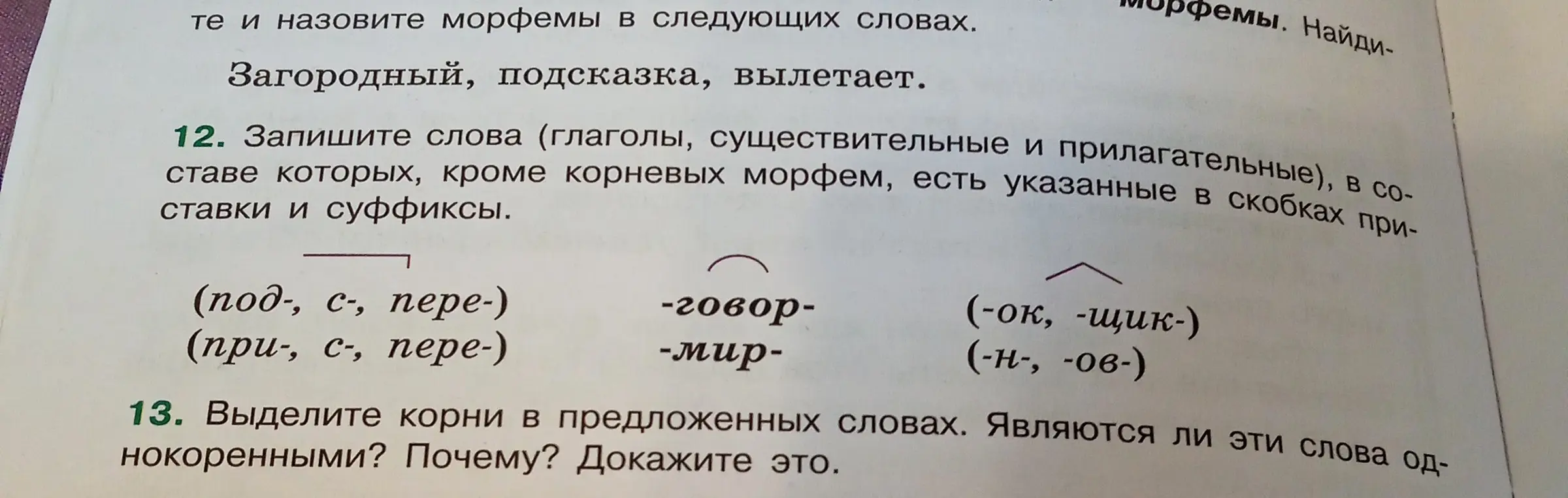 Объясни, как выполнить упражнения 12 и 13 по русскому языку