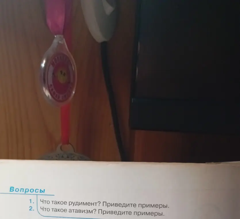 Что такое рудимент?