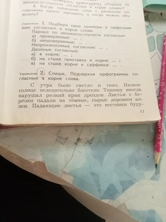 Подчеркни орфограммы согласных в корне слова в тексте