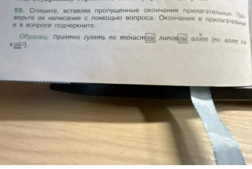 Ты просишь помочь вставить пропущенные окончания прилагательных в упражнении 55