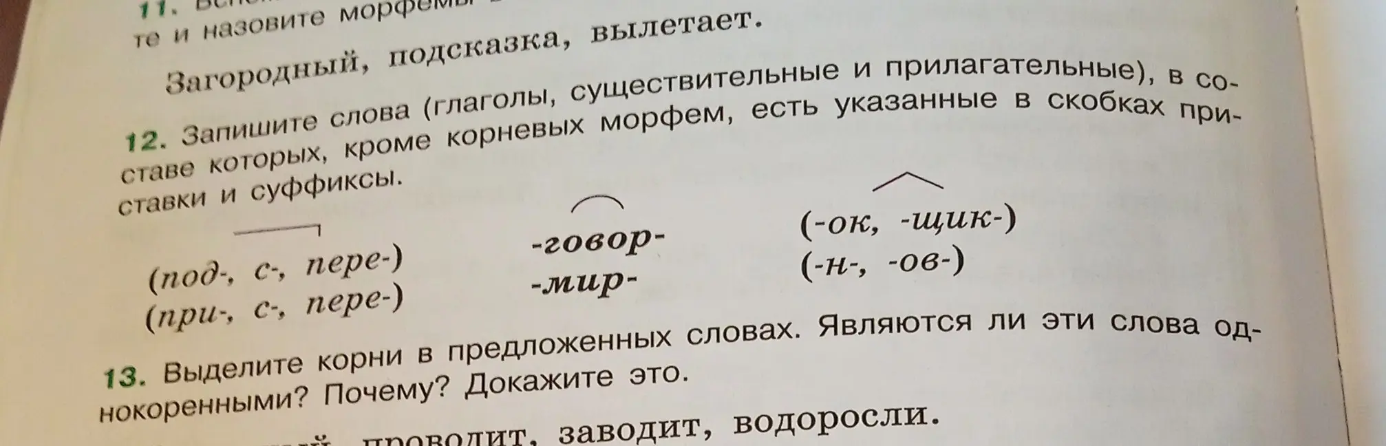 Помоги составить слова с приставками и суффиксами и выделить корни в словах 'проводит, заводит, водоросли'