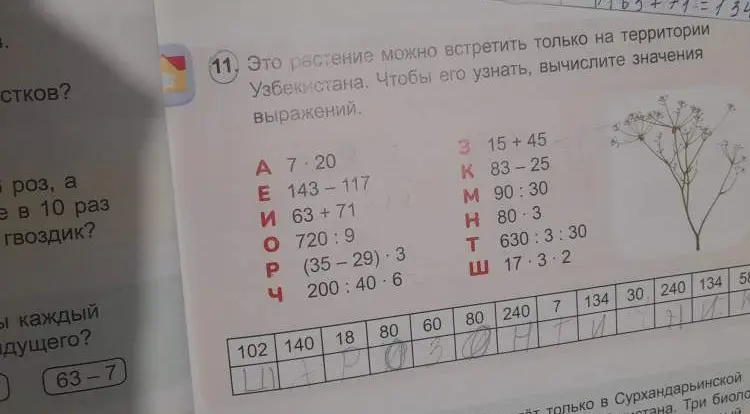 Вычисли значения выражений, чтобы узнать, что это за растение, которое можно встретить только на территории Узбекистана