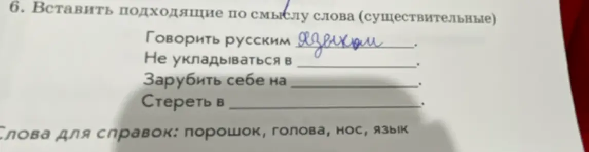 Ты просишь вставить подходящие по смыслу слова (существительные) в предложения: 'Говорить русским ...', 'Не укладываться в ...', 'Зарубить себе на ...', 'Стереть в ...'