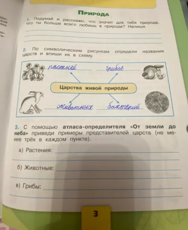 На основе символических рисунков, помоги определить названия царств и вписать их в схему.