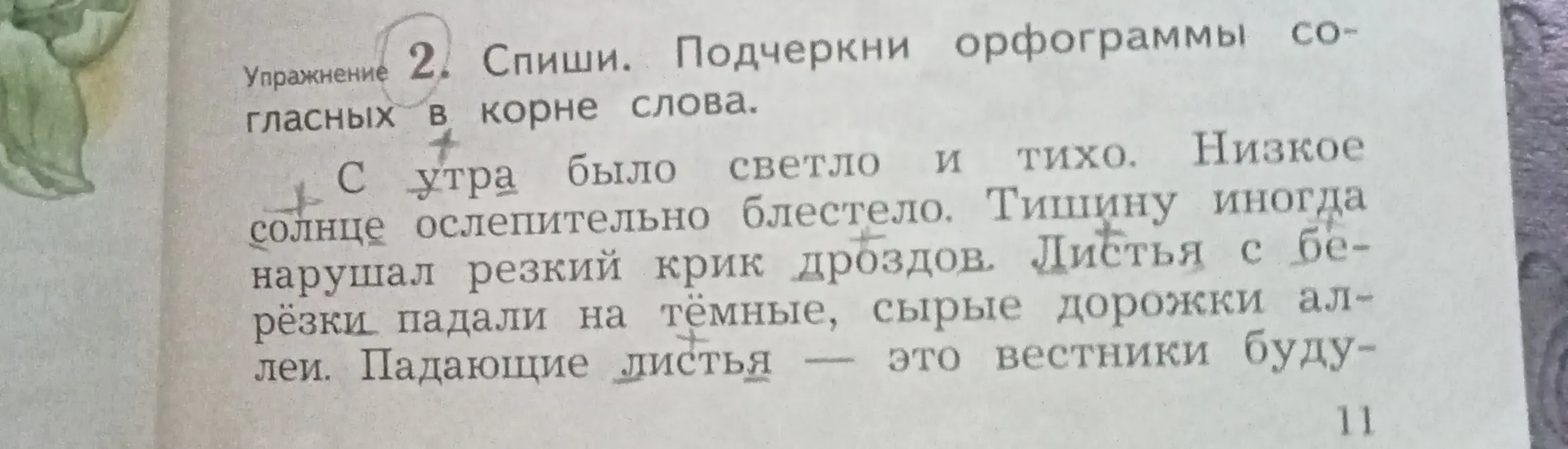 Подчеркни орфограммы согласных в корне слова в упражнении 2