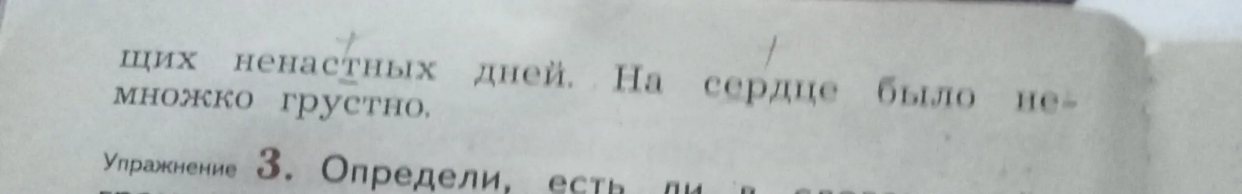 Подчеркни орфограммы согласных в корне слова в упражнении 2
