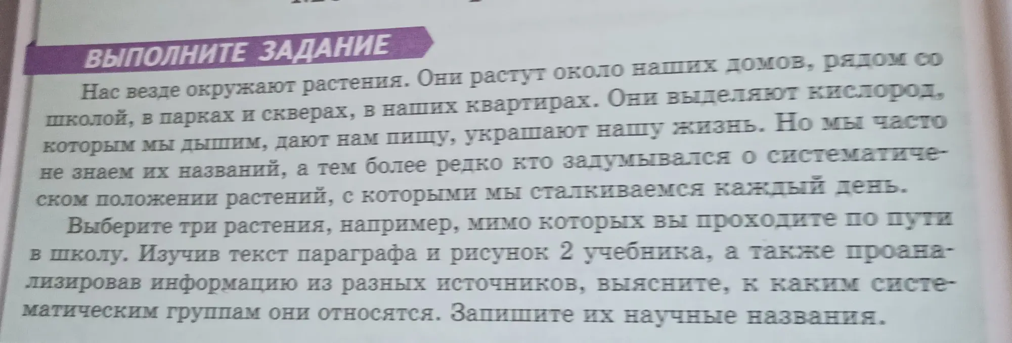 Выясни, к каким систематическим группам относятся три растения, мимо которых я прохожу по пути в школу, и запиши их научные названия.