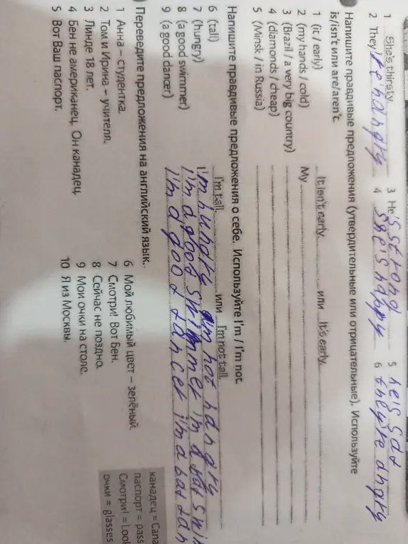 Переведи предложения на английский язык.