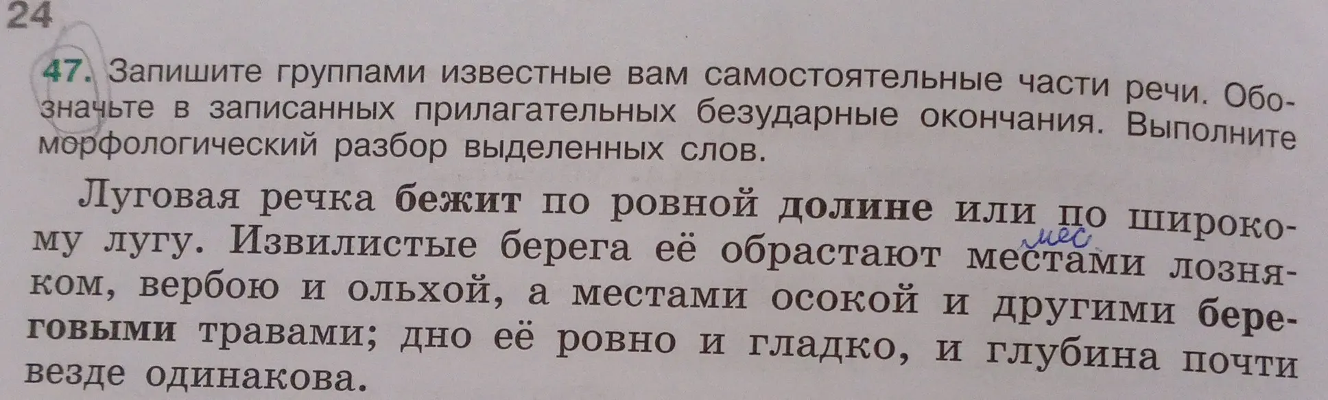 Выполни морфологический разбор выделенных слов: местами, широкому.