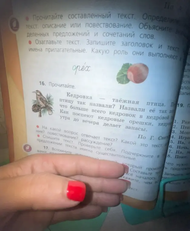 Предложи прочитать текст про кедровку, ответить на вопросы к тексту и выписать имена существительные