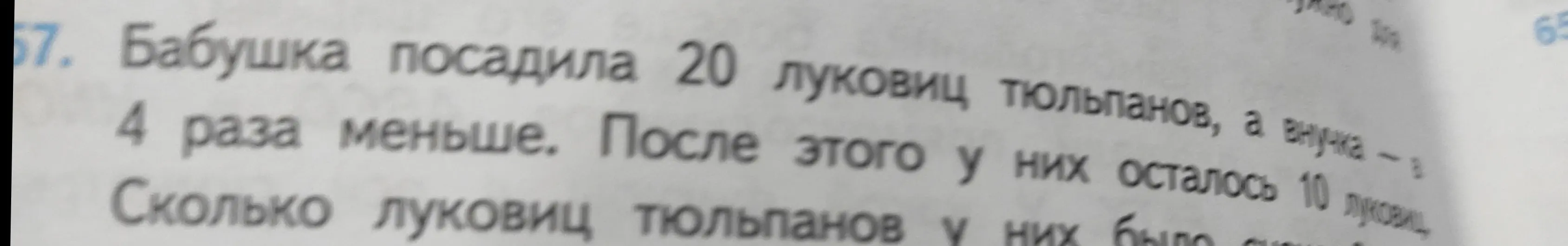 Ты просишь меня решить задачу: Бабушка посадила 20 луковиц тюльпанов, а внучка в 4 раза меньше. После этого у них осталось 10 луковиц. Сколько луковиц тюльпанов у них было сначала?